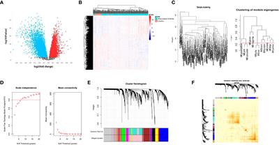 Platelets-related signature based diagnostic model in rheumatoid arthritis using WGCNA and machine learning